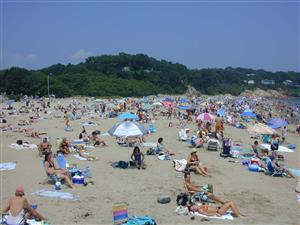 Busy Day at Singing Beach